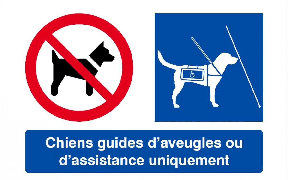 Un nouveau pictogramme pour faciliter l’accès à tous les lieux publics des chiens guides ou d’assistance