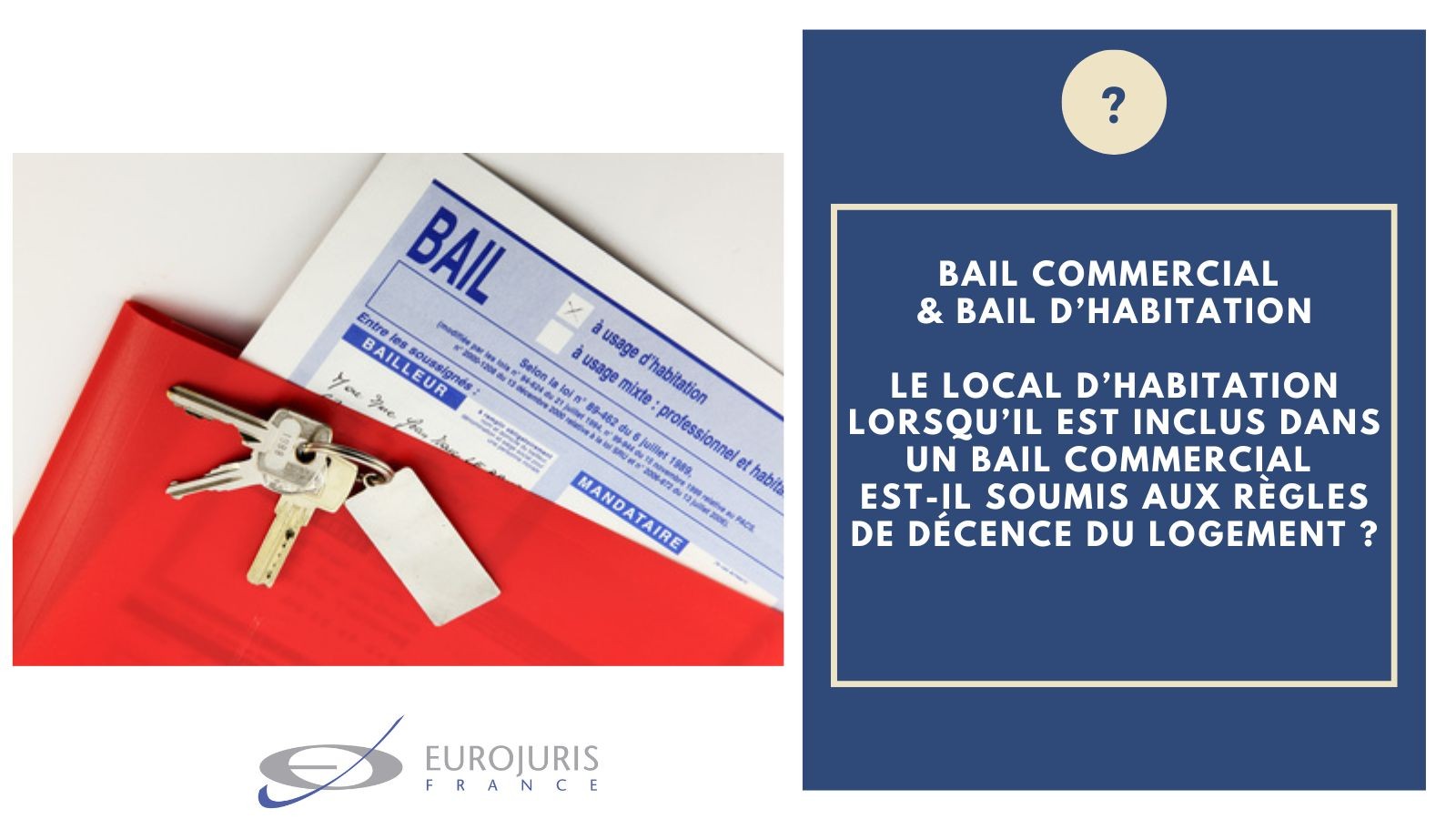 Bail d'habitation et bail commercial